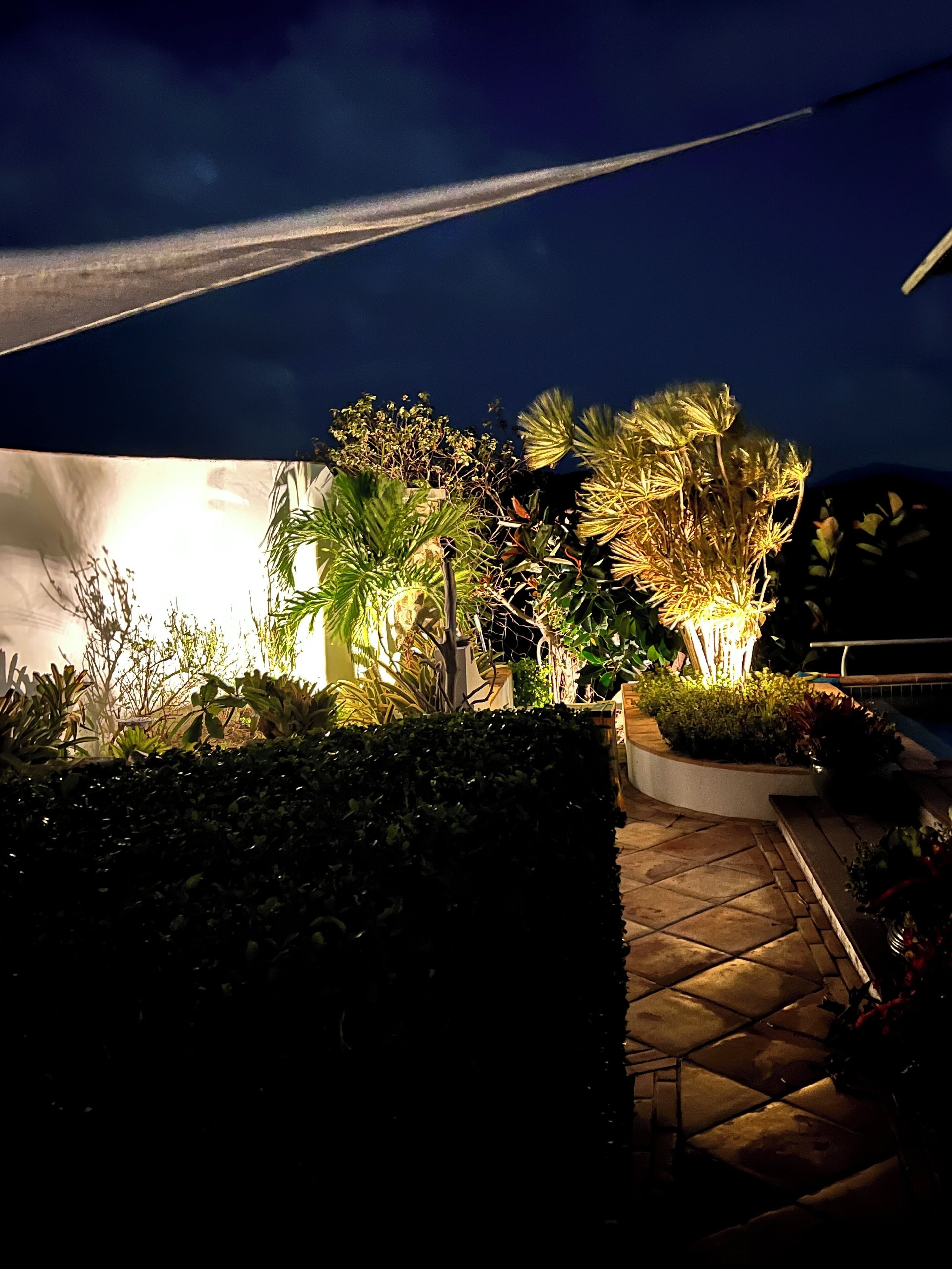 A well-lit outdoor area with various plants and a tiled floor.