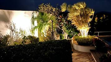 Un espace extérieur bien éclairé, agrémenté de différentes plantes et doté d’un sol carrelé.