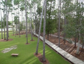 Un parco con una passerella in legno, erba verde e alberi alti.