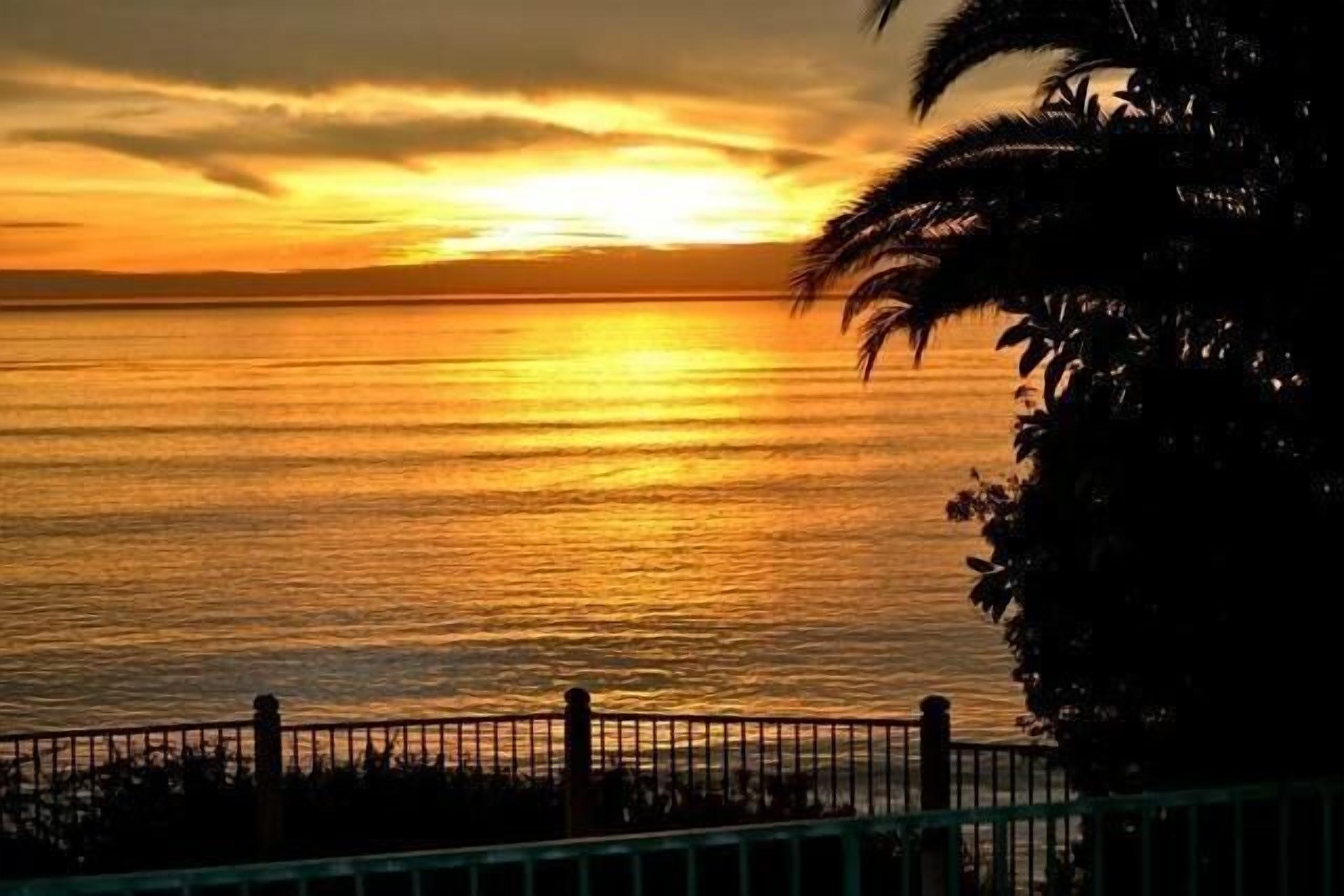 Beach Annex, Ocean Breezes, Spacious and Airy. Sleeps 2 