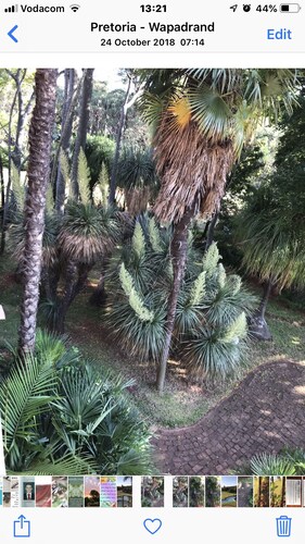 Palm Villa Room 2 - Extravagant VIEW