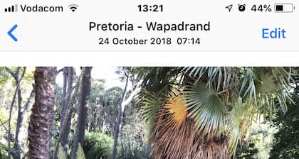 Palm Villa Room 2 - Extravagant VIEW