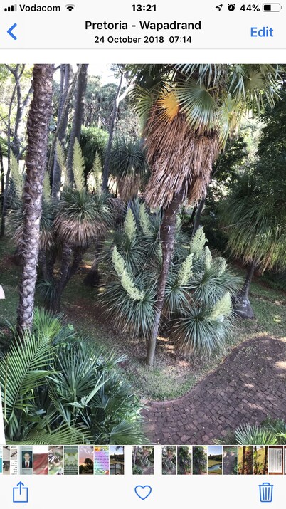 Palm Villa Room 2 - Extravagant VIEW