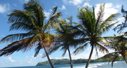 Fully staffed villa with a view of the ocean! Families welcome