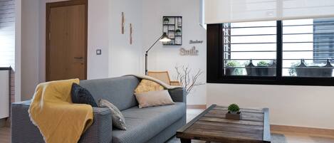 Smart TV, books, video library