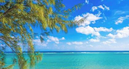 Cayman Paradise Villa #1 - 4 Bedroom Oceanfront in East End