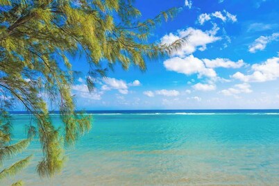 Cayman Paradise Villa #1 - 4 Bedroom Oceanfront in East End