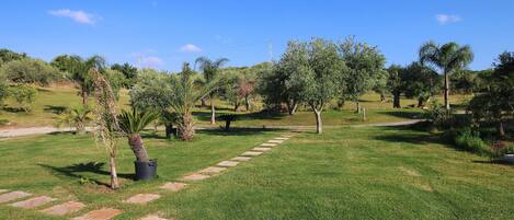 Un jardín bien cuidado con varios árboles y un sendero de piedra.