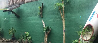 Pied de maison dans le sable; 02 chambres; Plage de Lagoinha - Ubatuba