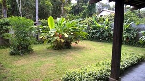 Property grounds - House, Private room and shared room - Juréia de São Sebastião (Praia da Juréia)