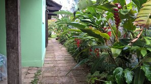 Property grounds - House, private room and shared room - Juréia de São Sebastião (Praia da Juréia)