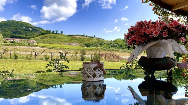 Uma mesa com um vaso de flores e um candeeiro, refletindo a paisagem de um vinhedo.