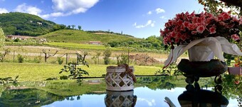 Ă la Maison Blanche - Lavande