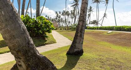 Relaxing Oceanfront Villa in Palmas del Mar (BV228)