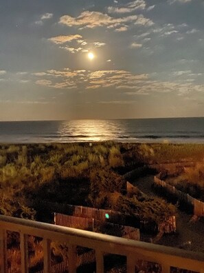 Ubicación a pie de playa y tumbonas