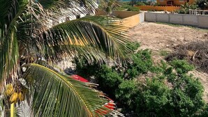 A coastal view with a clear sky, palm trees, and a building with a thatched roof. - Penthouse - Casa Mango Great location! (Isla Mujeres)