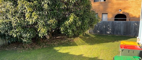 A backyard with a well-maintained lawn, a large tree, a wooden fence, and colorful trash bins.