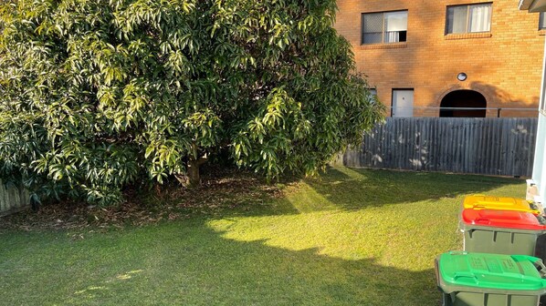 Un patio trasero con césped cuidado, un árbol grande, una valla de madera y contenedores de basura de colores.