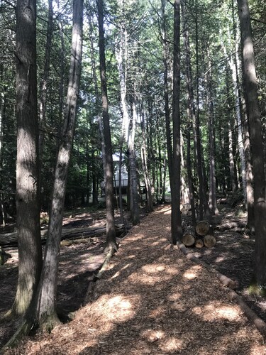 The Cottage on Pine Ln @ Hemlock Hills on Mill Pond, near Sunken Lake w/ 2 kayak