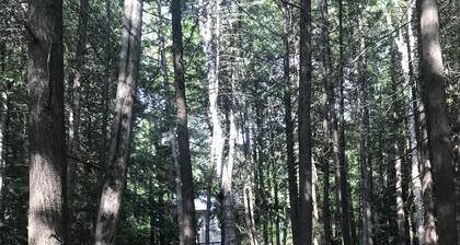 The Cottage on Pine Ln @ Hemlock Hills on Mill Pond, near Sunken Lake w/ 2 kayak