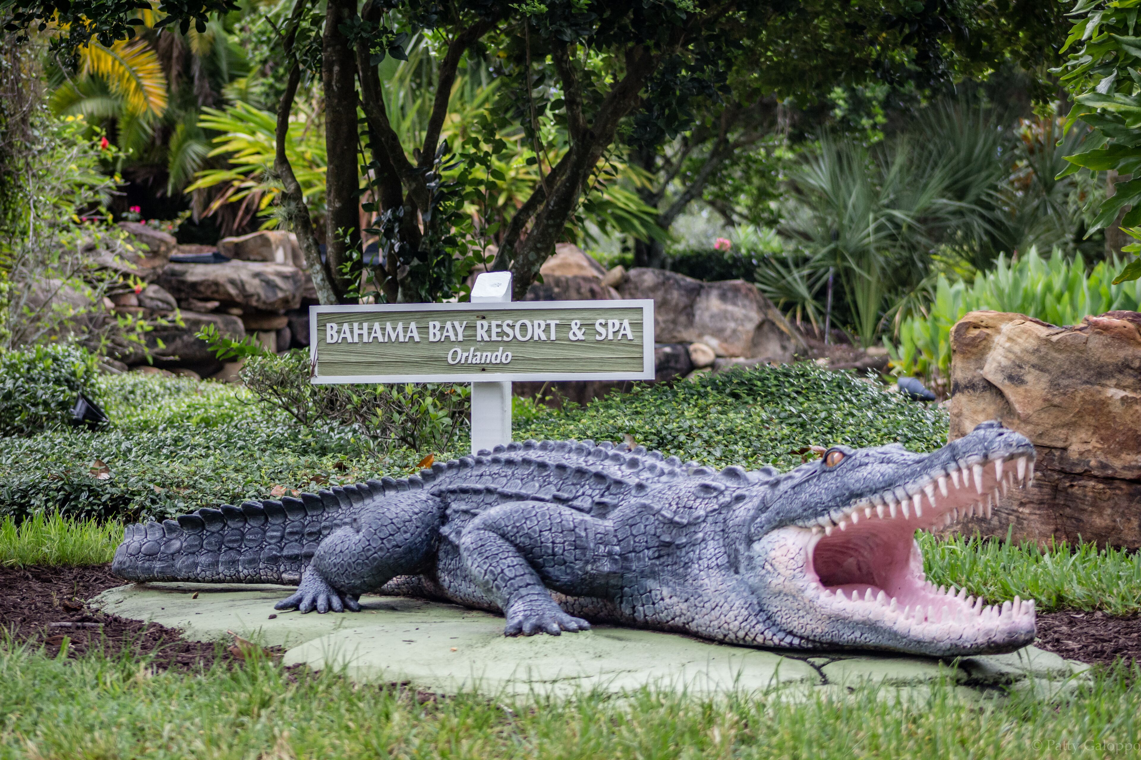 A large alligator statue in a garden with a sign that reads "Bahama Bay Resort & Spa Orlando."