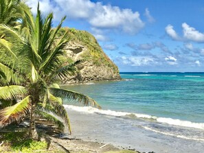A beach with clear turquoise water, a palm tree, and a rocky cliff.