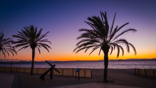 Zonsondergang met palmbomen en een verhard pad aan het water.