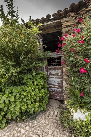 Une entrée rustique en pierre, avec une porte en bois, un feuillage verdoyant et luxuriant, et des fleurs d’un rose éclatant.