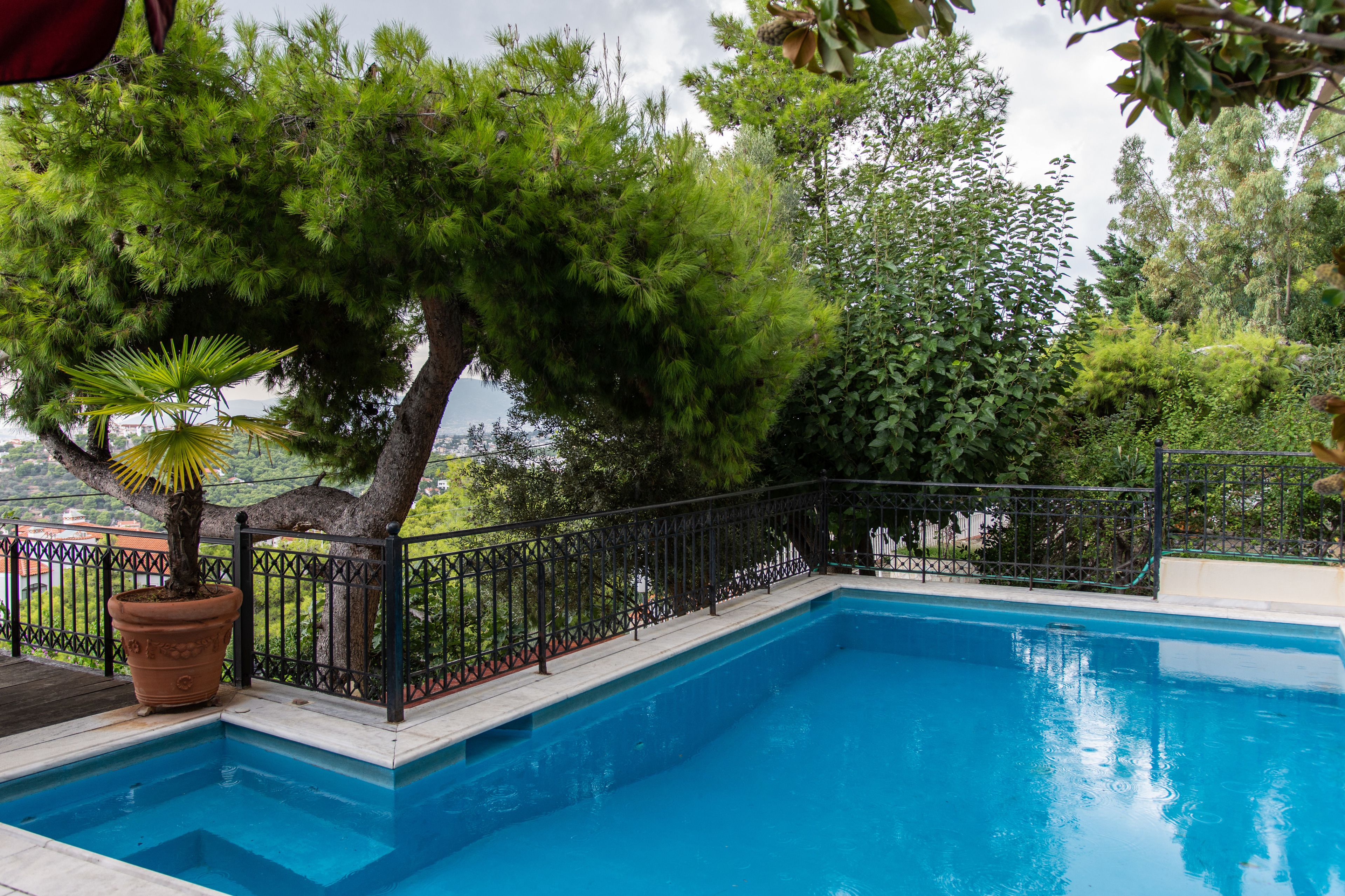 A swimming pool with a black metal fence, surrounded by lush greenery and trees.