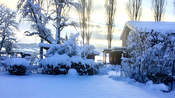 A snow-covered landscape with a building, trees, and a fence. - Apartment Anker am See (Wangen)