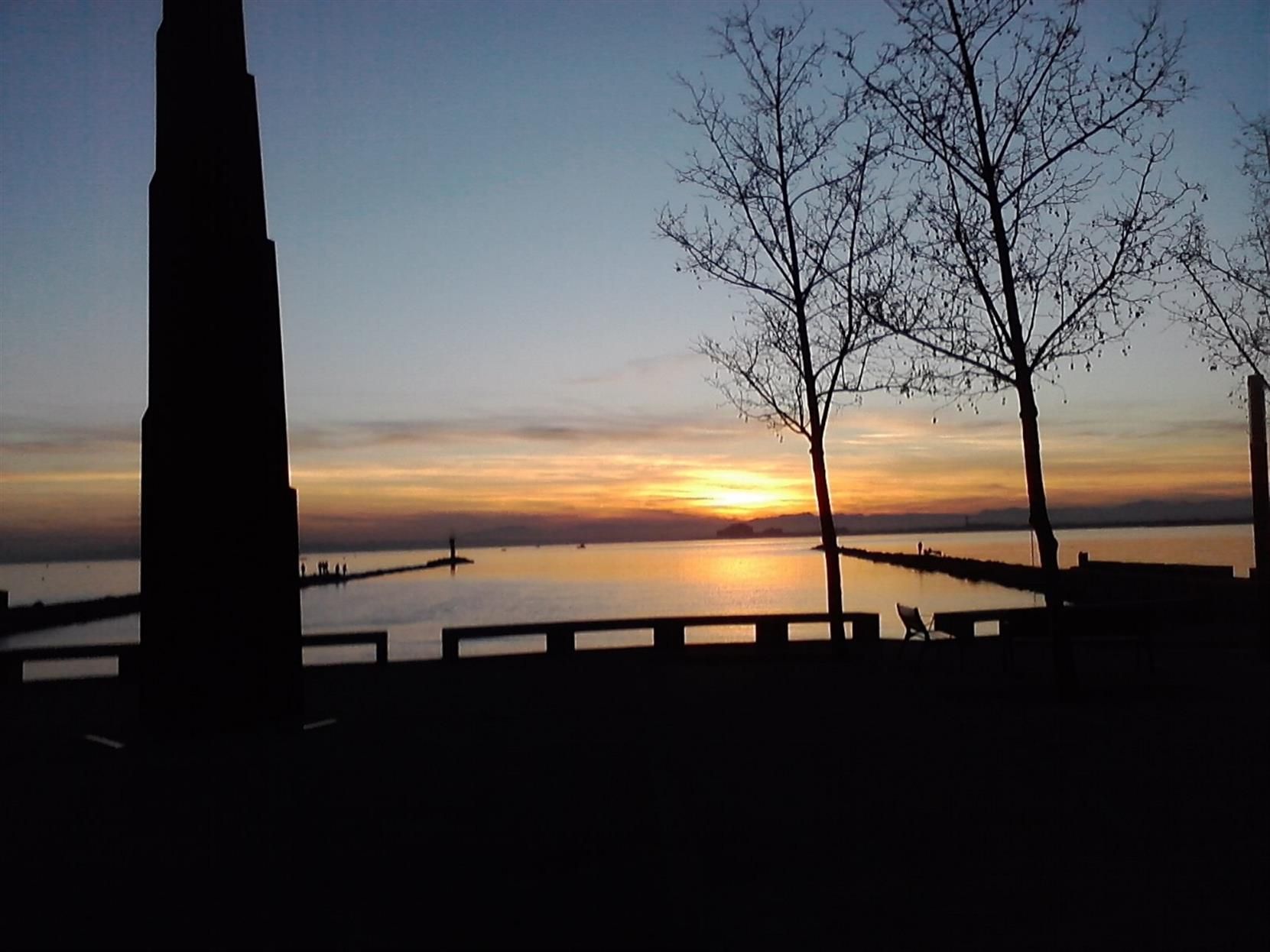 A sunset view with a silhouette of a tall building and leafless trees.