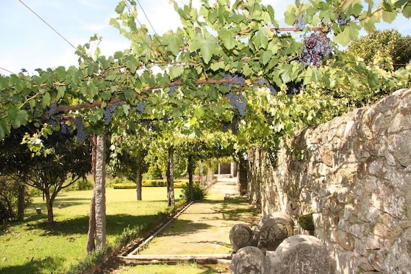 Parco della struttura