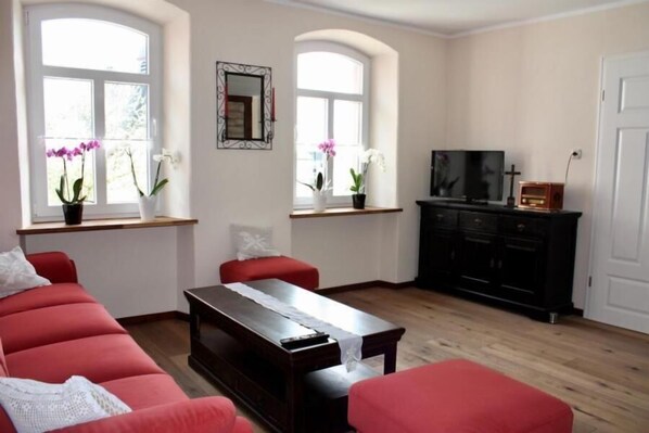 Télévision, cheminée