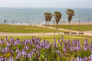 Aerial view - Jaffa Beach House - Hostel (Tel Aviv)