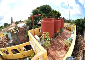 Una terraza en la azotea con macetas de terracota, plantas en macetas y una barandilla amarilla.