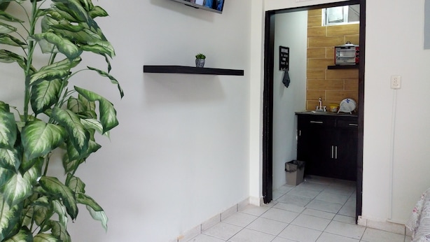 A hallway with a potted plant, a mounted TV, a shelf with a small plant, and a kitchen area visible through an open door.