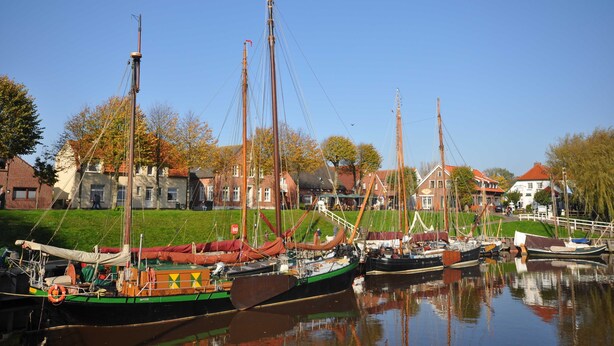 Ein Hafen mit mehreren traditionellen Segelbooten, die andocken, umgeben von Gebäuden mit roten Dächern und einer Grünfläche.