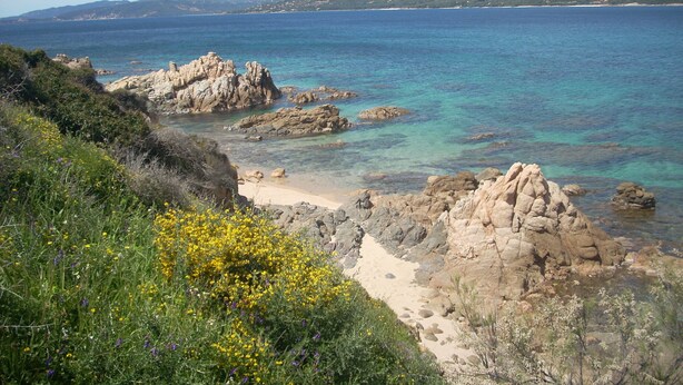 A coastal landscape with rocky outcrops, clear blue sea, and distant hills. - Separate air-conditioned bedroom, summer kitchen with steps and swimming pool (Sartène)