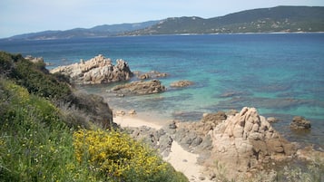 Una spiaggia nelle vicinanze