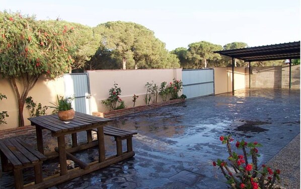 Terras