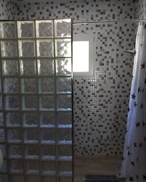 Shower, hair dryer, soap, toilet paper