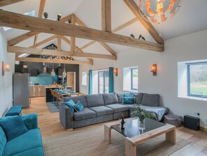 TV, fireplace - 3 bedroom accommodation in Pont-Rhyd-y-Groes, near Ystrad Meurig (Pont-Rhyd-y-Groes, near Ystrad Meurig)