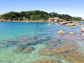 A coastal scene with clear water, rocks, and a forested hill in the background. - Large house in Trébeurden with WIFI, sea view, garden and BBQ, 900m from the beach, 9 pers (Trébeurden)