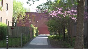 Un sendero conduce a un edificio de fachada roja, rodeado de árboles y una valla de madera.