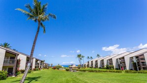 A resort with multiple-story buildings, a well-maintained lawn, and palm trees. - #128 Ground floor condo, easy access to best beach on Maui! (Kihei)