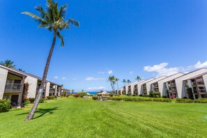 Property grounds - #128 Ground floor condo, easy access to best beach on Maui! (Kihei)