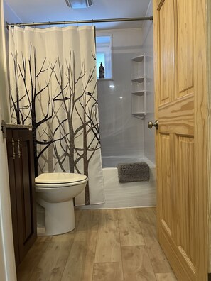 Bathtub, hair dryer, towels, shampoo