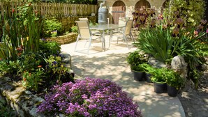 Une terrasse avec une table et des chaises, entourée de plantes et de fleurs en pot.