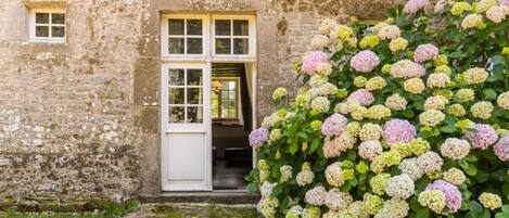 Detalle exterior