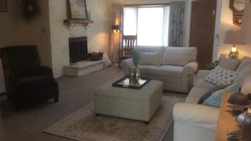 Télévision, cheminée, lecteur de DVD, livres